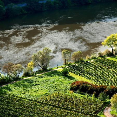 Apartament Weingut Helmut Barzen Zell an der Mosel Zewnętrze zdjęcie