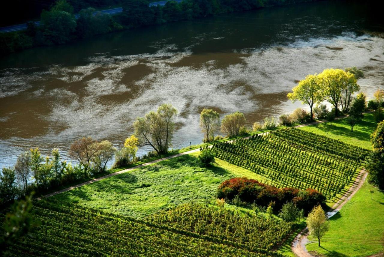 Apartament Weingut Helmut Barzen Zell an der Mosel Zewnętrze zdjęcie