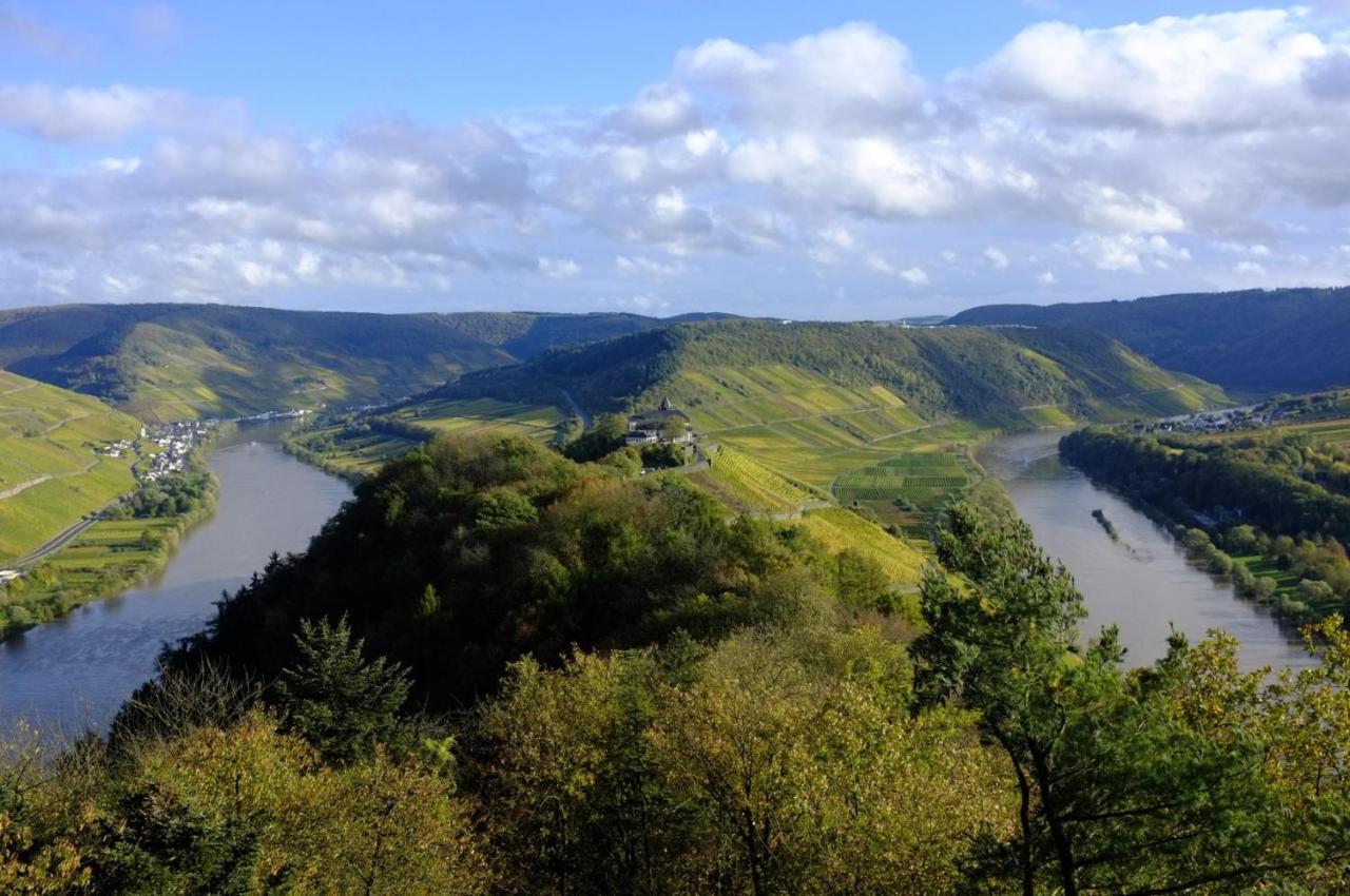 Apartament Weingut Helmut Barzen Zell an der Mosel Zewnętrze zdjęcie